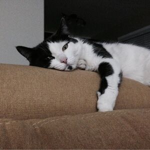 Meet your Posher, Lynn